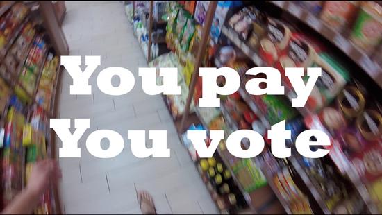 You pay,you vote.jpg