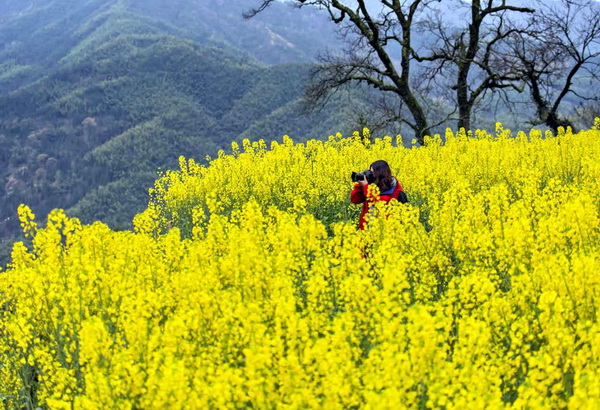 塘桥镇摄影协会组织会员赴皖南采风（组图）